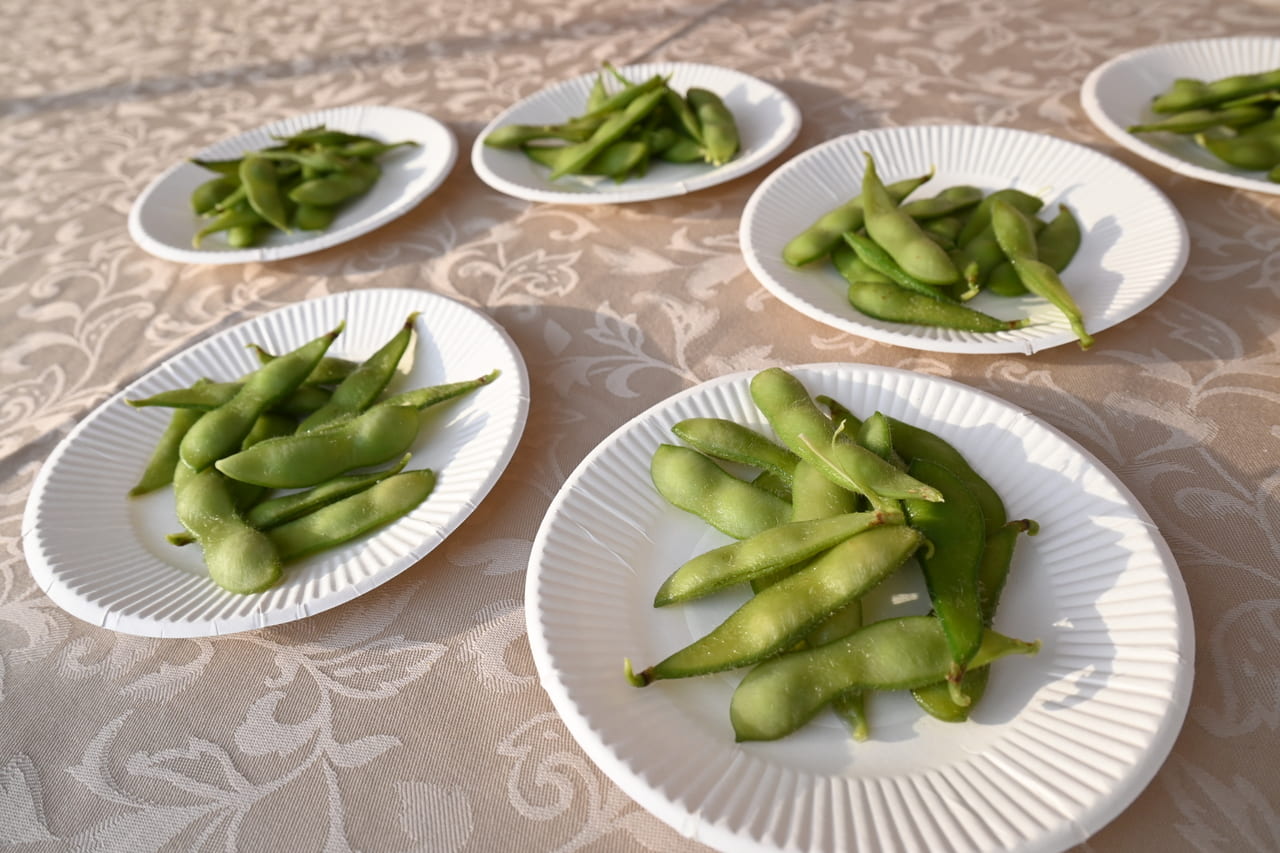 【八潮市】暑い日は枝豆にビール！やしお枝豆まつり大好評の様子でした。