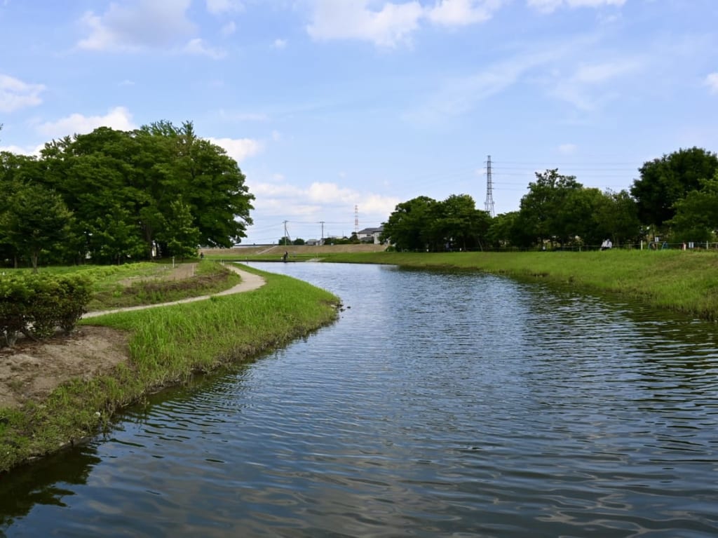 【八潮市】池の水をぬいて魚とり＆お魚ちょうさができる！水辺の楽校で魚とり「夏まつり」が開催されるそうです！