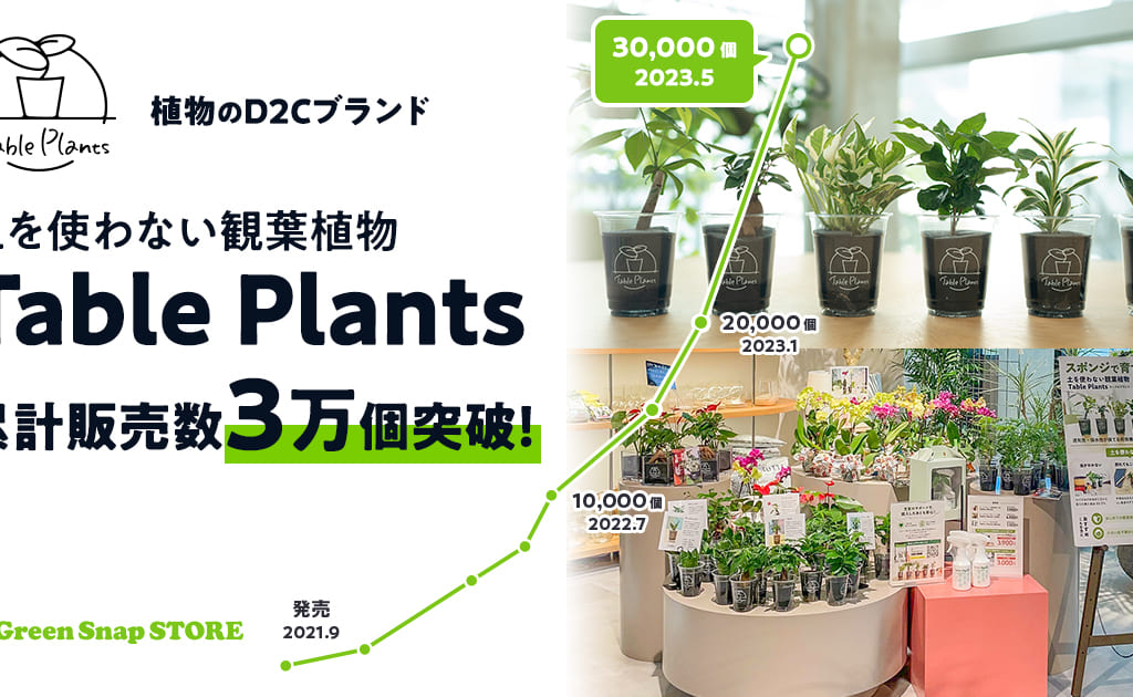 【三郷市】オンラインショップのみで3万個以上売れた「土を使わない観葉植物」が、ららぽーと新三郷店にて実店舗販売開始されるそうです！