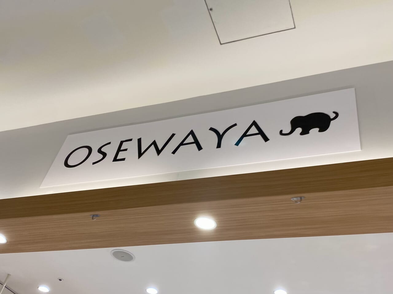 OSEWAYAshinmisato